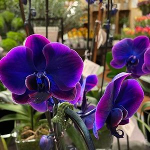 Welcome!! I’m Jimena :)